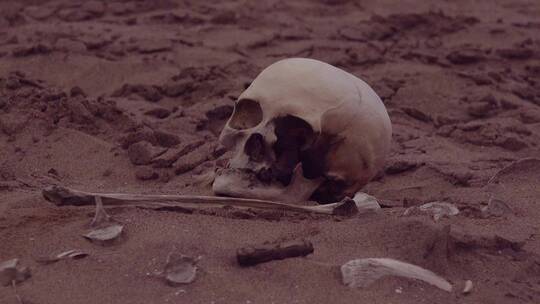 人类骨骼遗骸视频素材模板下载