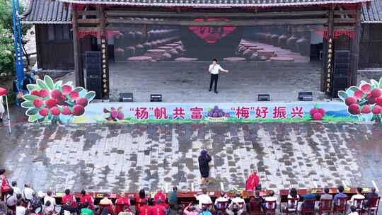 舞台演出杨梅主题活动现场