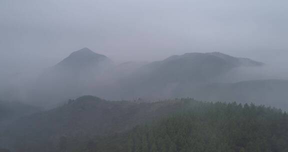 福建 莆田 城厢 天龟线 龟山寺