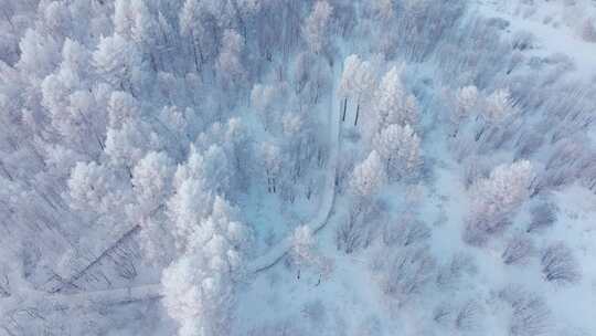 4K大兴安岭白狼峰雾凇梦幻航拍4