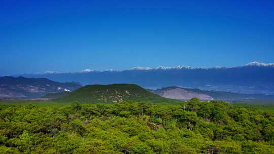 雪山下的腾冲火山森林