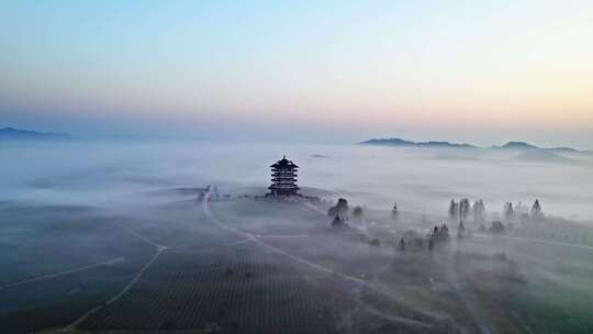 贵州遵义湄潭中国茶海