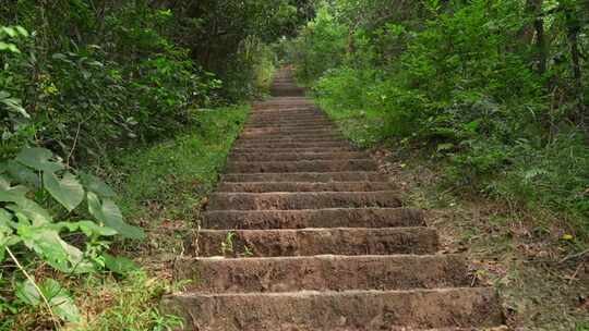 广州白云山原始森林道路台阶