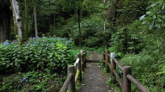 龙苍沟国家森林公园