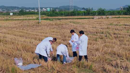 航拍天府粮仓农田农业耕地