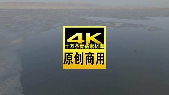 青海青海湖湖面飞鸟航拍视频高清在线视频素材下载