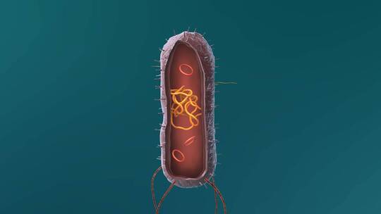 医学微观生物病毒细胞形态医疗三维动画展示