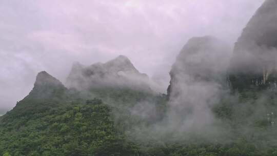 雾气笼罩的茂密山林全景