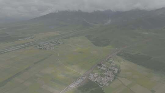 青藏高原门源油菜花海云雾草山村庄白云远山