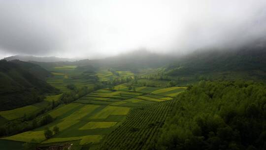 清晨大雾下的农村山区