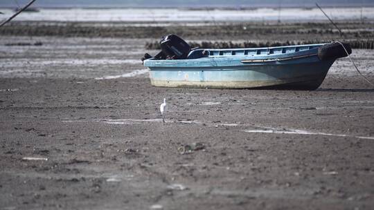 深圳湾湿地滩涂渔船