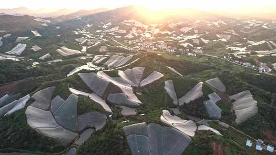 江西赣州赣南寻乌县脐橙种植基地航拍