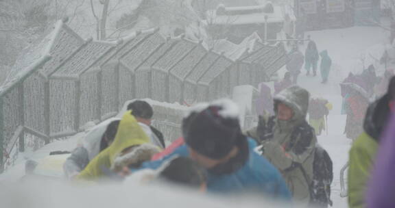山东泰山风景区雪景下雪