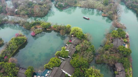 初春江南湿地庭院梅花盛开季节杭州西溪湿地