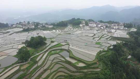 航拍贵州花溪高坡乡石门梯田-原视频