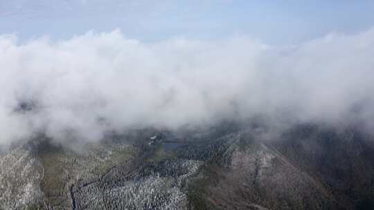 浙江丽水遂昌白马山森林公园4K云海雪景航拍