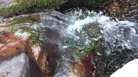 流水 山泉 春天 万物复苏