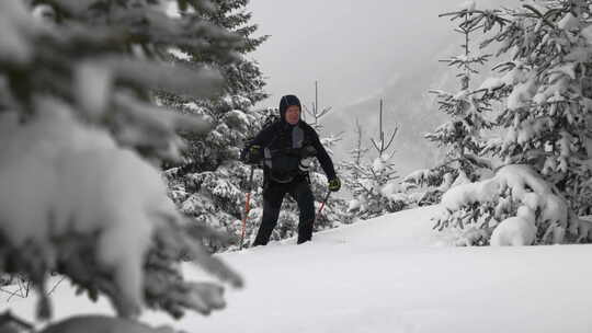 白雪覆盖的森林中的男子滑雪旅行