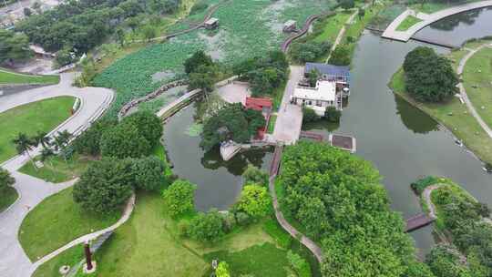 航拍福建漳州碧湖公园荷花池湿地生态