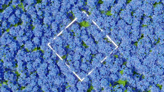 4组蓝色花朵 几何发光背景