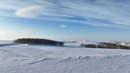 广阔雪地上的树木和山丘的美丽景象