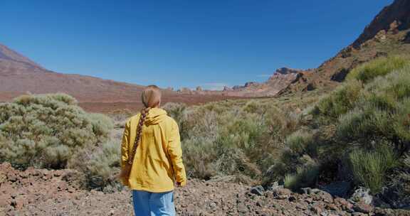 女人，徒步旅行，泰德，火山