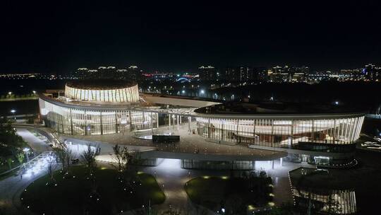 航拍九棵树未来艺术中心建筑夜景