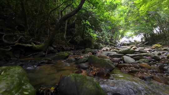 穿越机航拍深圳梧桐山麻水凤林间溪谷