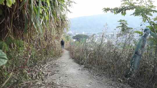 J浙江温州苍南蒲城下山