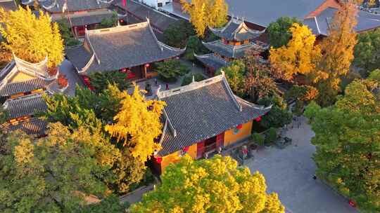 上海秋天 龙华寺秋天 上海地标秋色