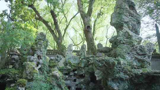 宁波天一阁花园假山