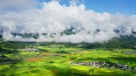 雨后云雾缭绕 唯美阳光 绿色稻田