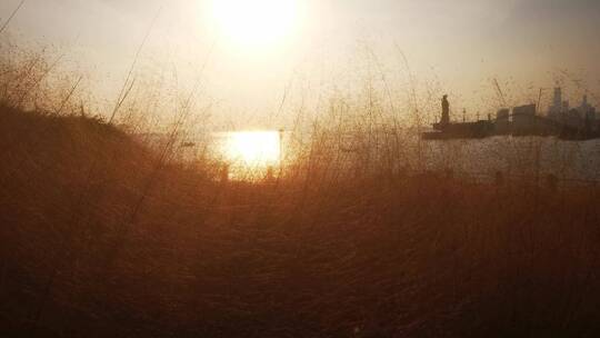 实拍枯草夕阳晚霞