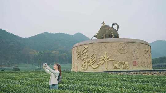 实拍视频 美女西湖龙井茶园