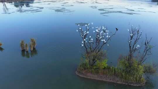 大理鹤庆湿地航拍