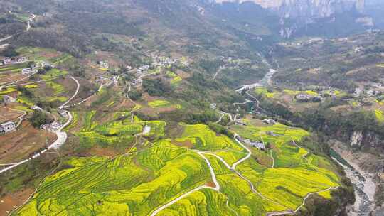 湖北恩施5A景区大峡谷绝壁花海航拍