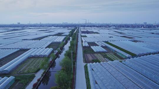 航拍大型农场田地自然风景视频素材模板下载