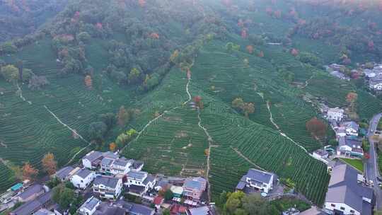 夕阳西下大山森林唯美航拍风景大自然风光杭