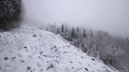 寒潮冬天下雪的村庄田野