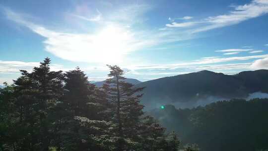 航拍湖北神农架神农顶景区