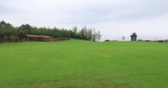 生态山庄 美丽草坪高山森林氧吧