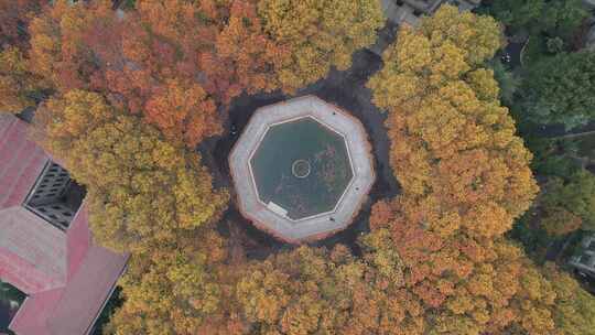 深秋的南京东南大学四牌楼校区风光航拍素材