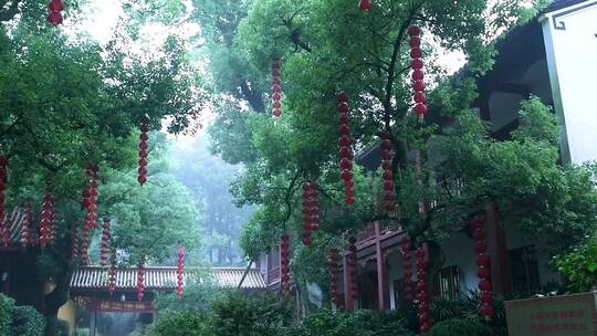 杭州上天竺法喜讲寺风景