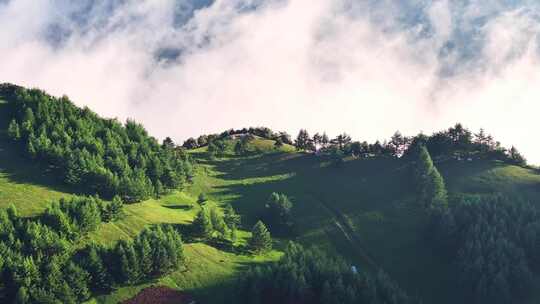 航拍高山森林云海云雾