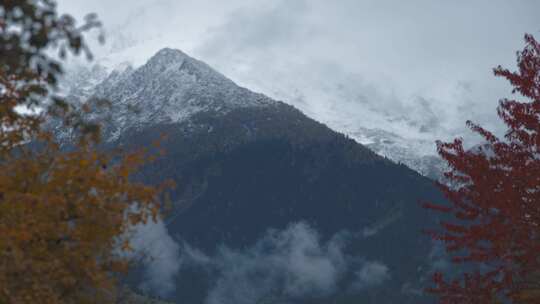 白雪覆盖，山，秋天，树木