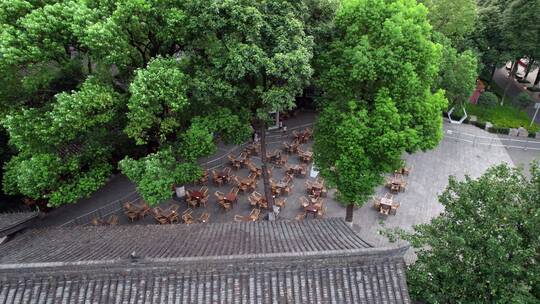 树林下茶馆