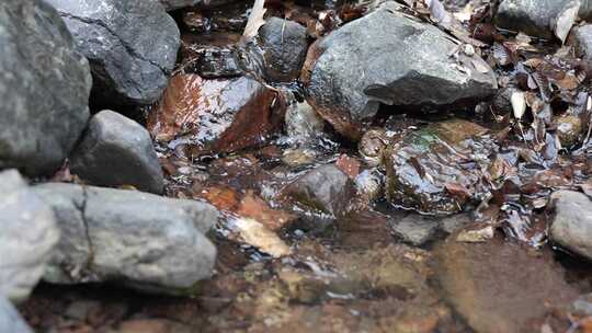 水流 小溪 流水 水滴 山区  岩石