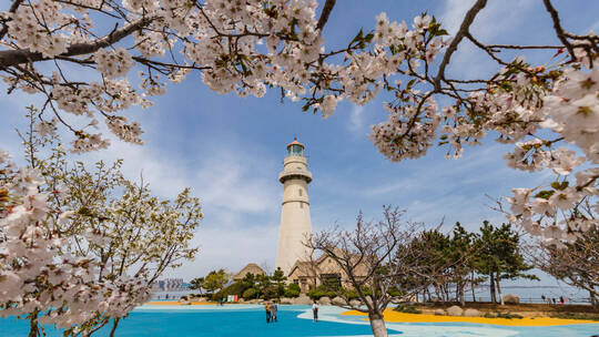 威海公园 花丛里的灯塔 延时