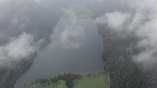 4k超清川西高原航拍湖泊牧场山谷牛群马匹