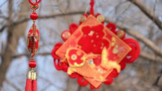 北京孔庙春节金鱼中国结吉祥物挂饰树挂视频素材模板下载